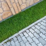 Sidewalk paved with cement bricks and lawn with green grass.