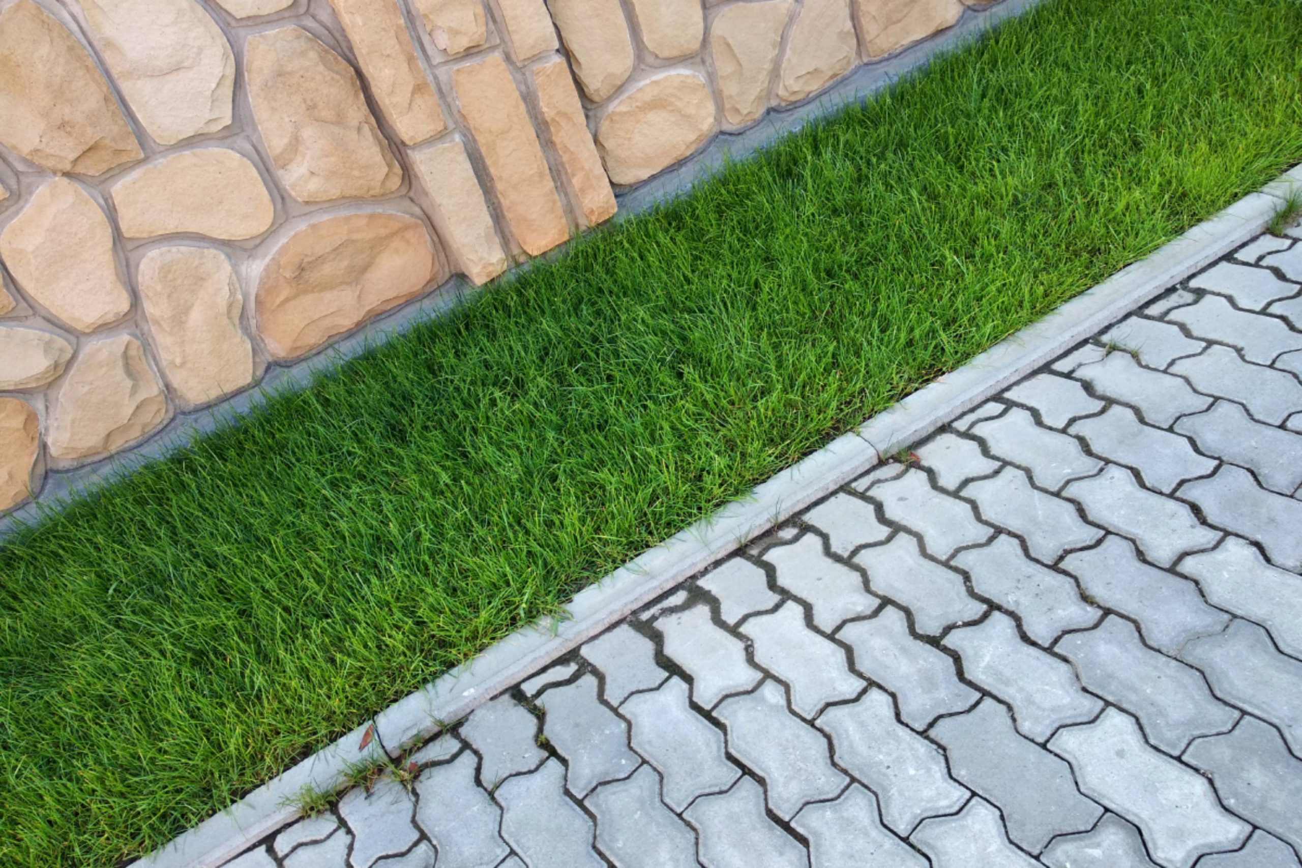 Sidewalk paved with cement bricks and lawn with green grass.