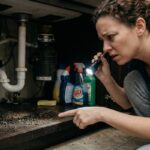 signs of pest infestation in kitchen